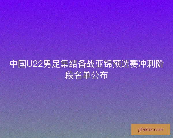 中国U22男足集结备战亚锦预选赛冲刺阶段名单公布