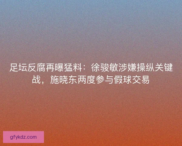 足坛反腐再曝猛料：徐骏敏涉嫌操纵关键战，施晓东两度参与假球交易