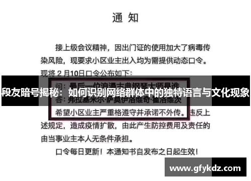 段友暗号揭秘：如何识别网络群体中的独特语言与文化现象